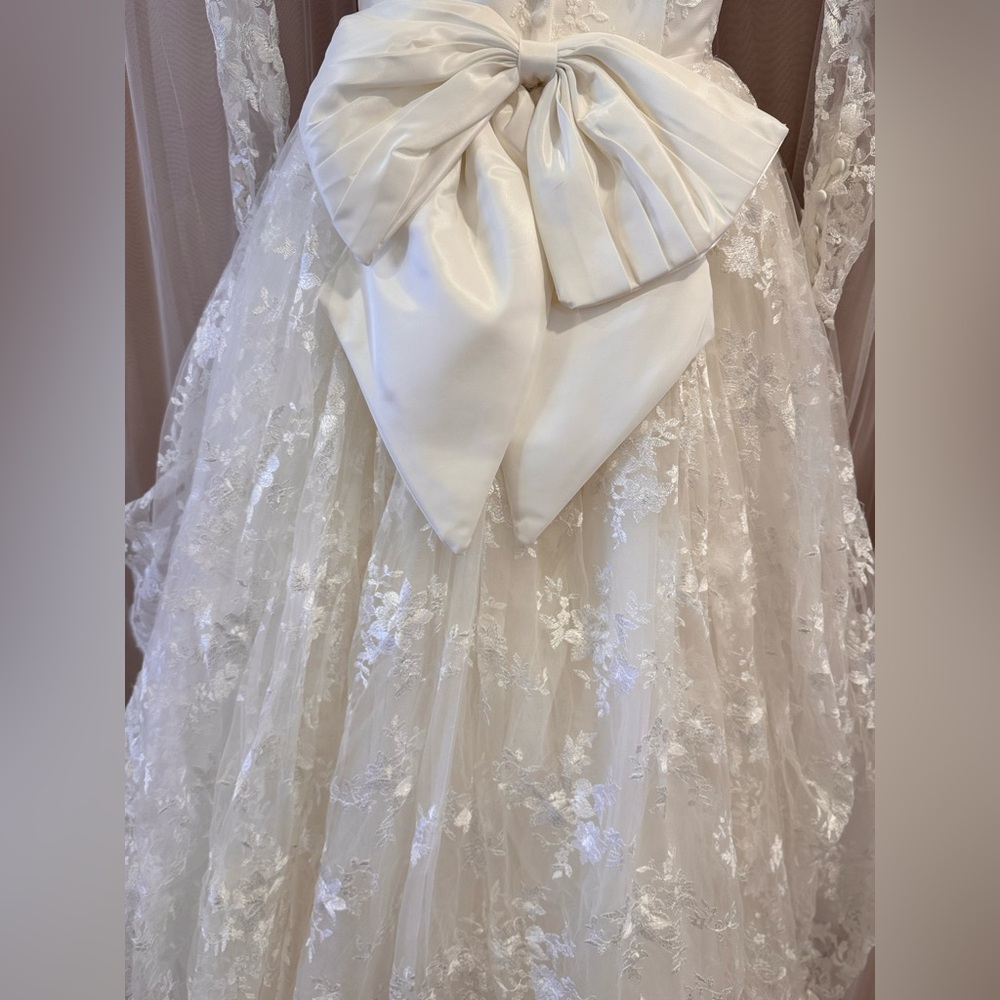 Elegant Modern Lace Wedding Dress - Picture 8 of 8